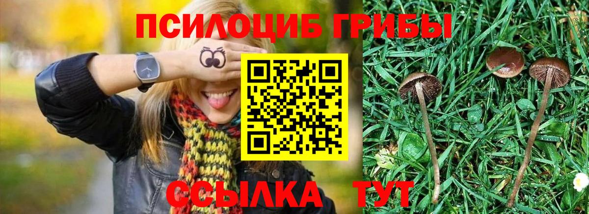 Псилоцибиновые грибы Magic Shrooms  Вход с VPN  Гагарин 